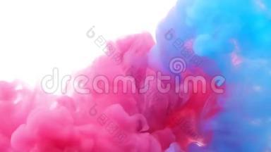 红色和蓝色的油漆在白色的背景下，在清澈的水中形成厚厚的、粉红色、蓝色和紫色的云，
